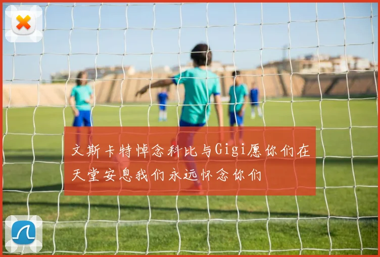 文斯卡特悼念科比与Gigi愿你们在天堂安息我们永远怀念你们