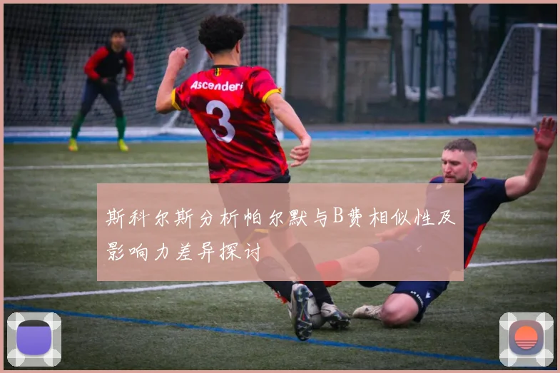 斯科尔斯分析帕尔默与B费相似性及影响力差异探讨